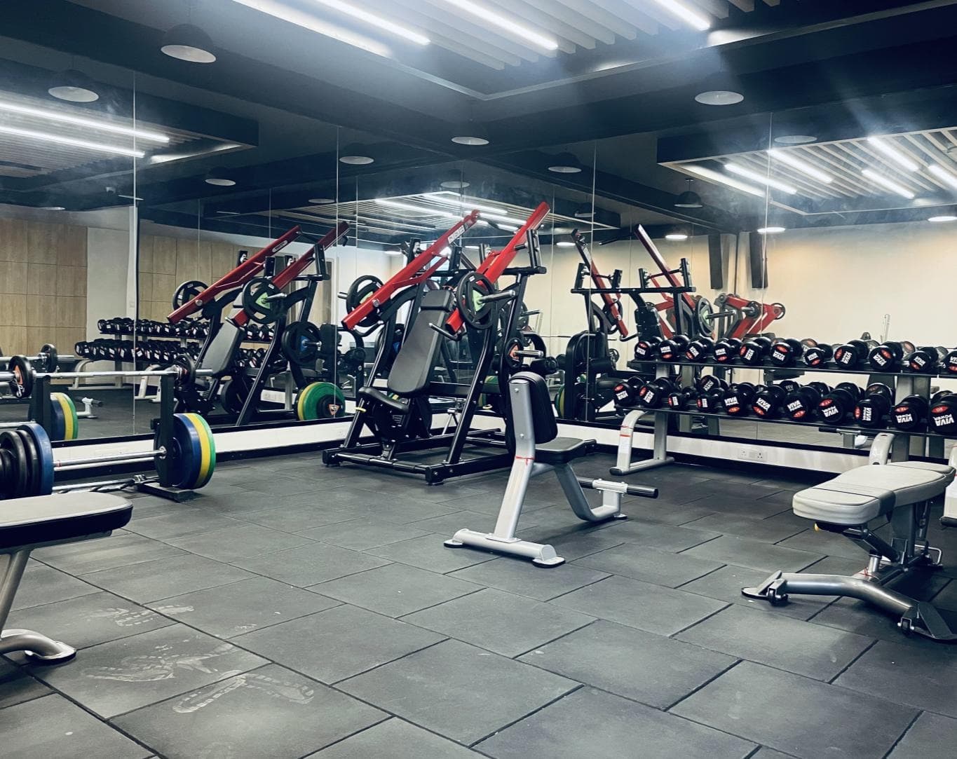 Gym — Netsmartz Square, Mohali